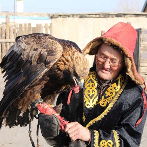 Day 74, 4 Feb 2014 -  Eagle Hunters in Mongolia, Mongolia